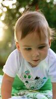 Nice cute toddler crawling by the blanket on the ground. Baby spending time outdoors in summer. Close up. Blurred backdrop. Vertical video