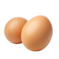 dos marrón huevos en un blanco superficie png