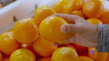 a hand picks up an orange from a pile of other oranges it free videos