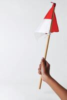 A child's hand holds and waves the red and white flag photo