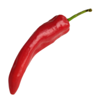 red ripe chili peppers isolated from the background png