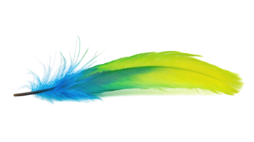 Vibrant Green and Blue Feather for Creative Design Projects and Nature Inspired Themes. png