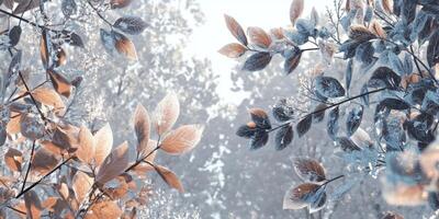 Winter Wonderland Frosty Leaves Snow Ice Crystals Forest Canopy photo