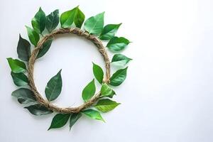 Green leaves circle frame on white. photo