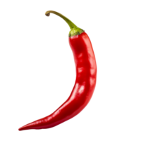 Fresh red chili pepper isolated on a transparent background png