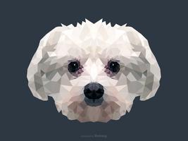 Abstrakt maltesisk hundporträtt i låg Poly Vector Design