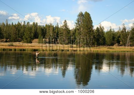 Yellowstonegrand Teton Aug 2006 310