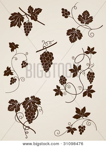 Grape Vine Design Elements