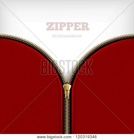 Abstract Background With Golden Metallic Zipper