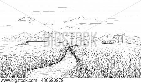 Hand Drawn Field Landscape. Corn Farm Sketch With Rural House And Silos. Pencil Drawing Of Agricultu