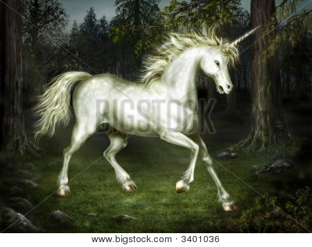 Unicorn