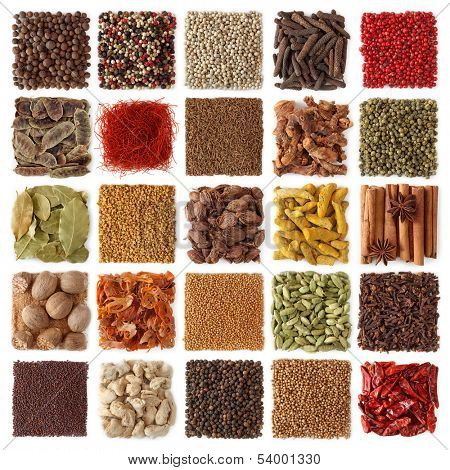 Indian spices collection isolated on white background