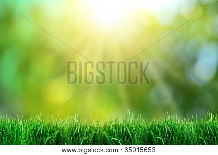 Green grass with sunset views. Blurred background.