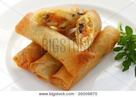 Fried Chinese Traditional Spring rolls