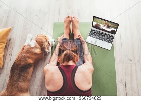 Active, Adult, Animal, Asana, Athlete, Athletic, Beagle, Body, Breathing, Caucasian, Computer, Dog, 