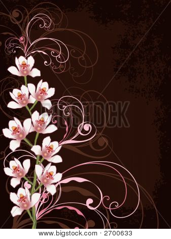 White Orchids And Pink Swirls With Grunge Frame (Vector)