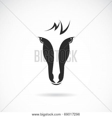 Vector Image Of An Horse Face