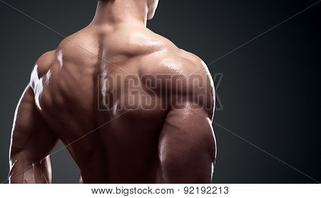 Muscled Male Model Showing His Back