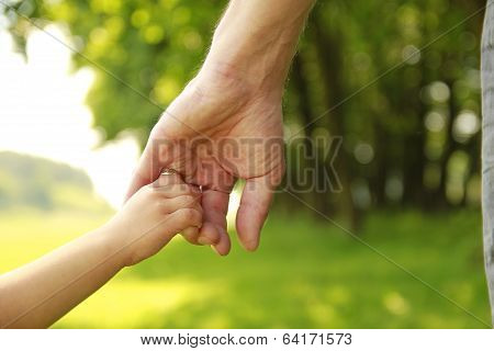 Parent Holds The Hand Of A Small Child