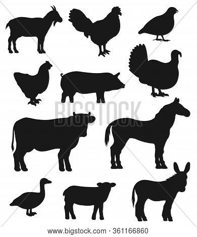 Cattle Farm Animals And Birds, Vector Black Silhouette Icons. Cattle Farm Cow, Isolated Sheep And Qu