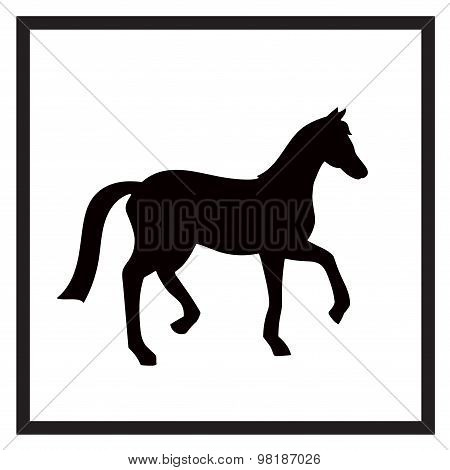 Vector Black And White Label For Horse Club Or Riding Club With Horse Silhouette Isolated On The Whi