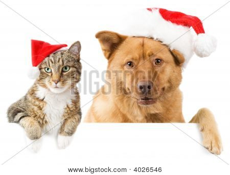 Cat And Dog Banner For The Holidays