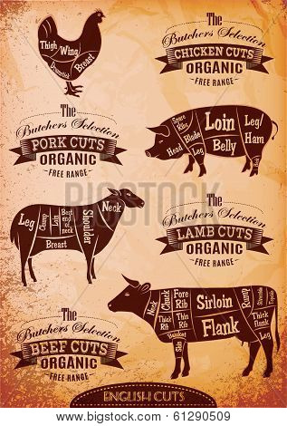 Vector Diagram Cut Carcasses Chicken, Pig, Cow, Lamb