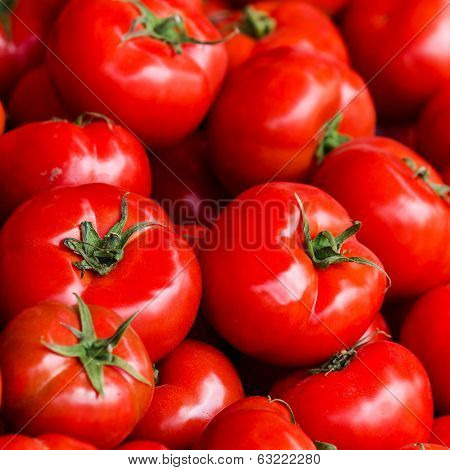 Group Of Fresh Tomatoes Background. Ripe Red Tomatoes On A Market Closeup.