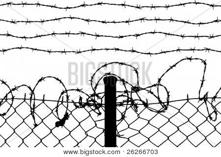 vector of wired fence with barbed wires