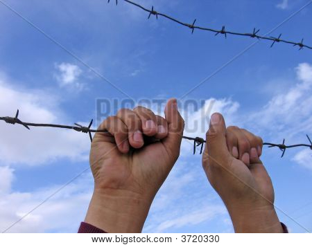 Barbed Wire And Hands