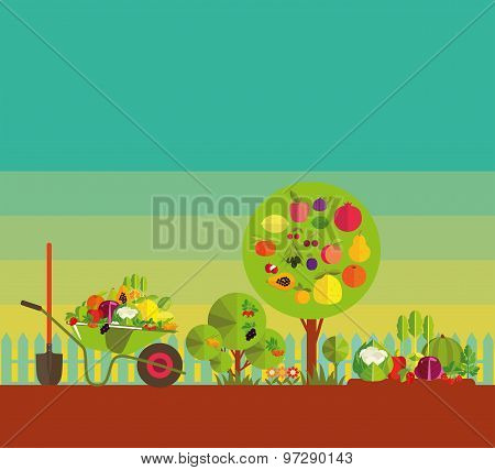 Kitchen Garden