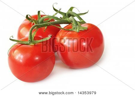 Three vine-ripened beefsteak tomatoes, isolated on white with natural shadow.