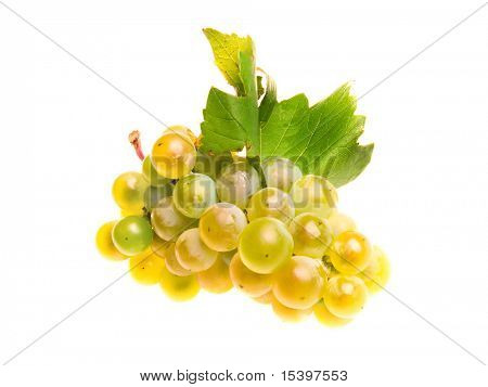 The grapes isolated on white