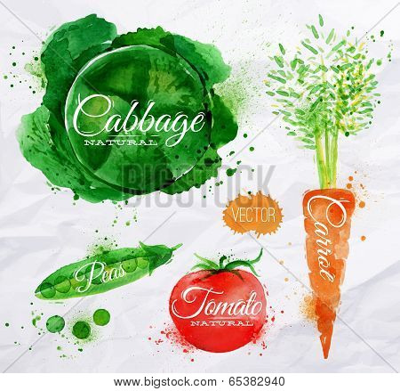 Vegetables watercolor cabbage, carrot, tomato, peas