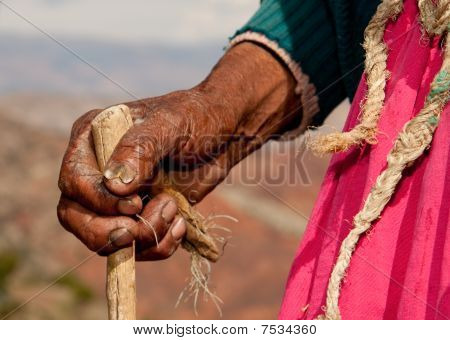 Hand Of Old Farmer Woman