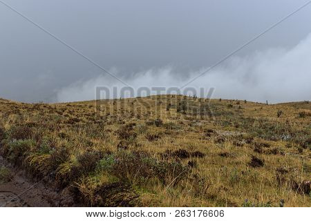 View On The Strato Vulcano Cotopaxi, Ecuador