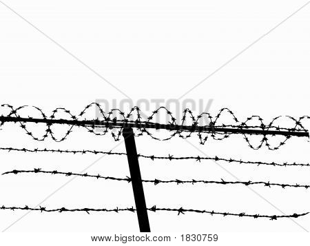 Razor Wire Fence