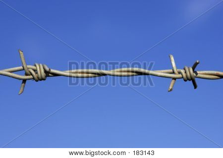 Barbed Wire Fence Detail