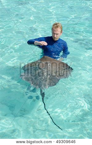 Tourist Playing With Stingray In A Lagoon