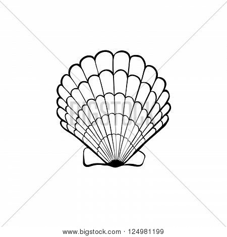 Hand drawn sea shell. Scallop outline. Seashell icon in black isolated on white background.