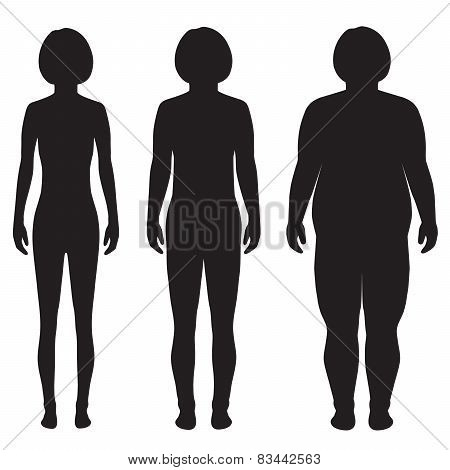 vector fat body, weight loss,