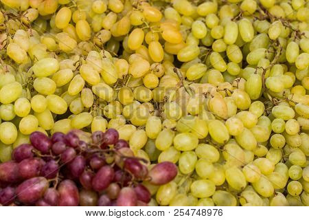 Healthy Fruits Red Wine Grapes Background/ Dark Grapes/ Blue Grapes/wine Grapes,red Wine Grapes Back