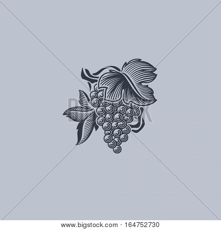 Grape with leaf. Element for design.