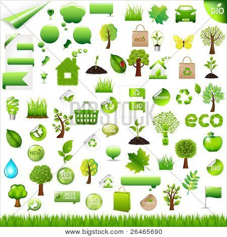 Collection Eco Design Elements, Isolated On White Background