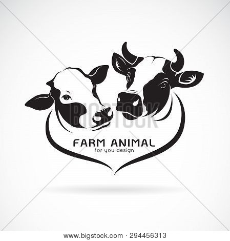 Vector Of Two Cows Head Design On A White Background. Animals Farm. Cows Icon Or Logo. Easy Editable