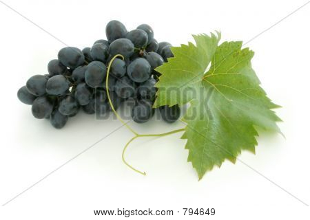 Blue grape cluster