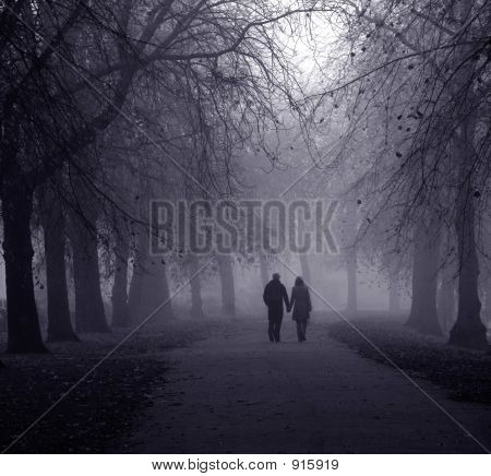 Young Couple Walking Through Avenue Of Trees In Dense Fog