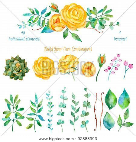 Vector floral set.Colorful floral collection with leaves and flowers drawing watercolor.