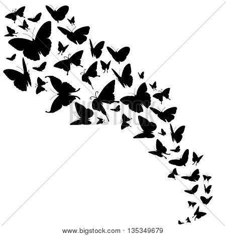 Abstract vector backdrop with butterflies design. Free butterflies in black color and flow of insect butterflies illustration