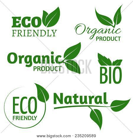 Organic Eco Vector Logos With Green Leaves. Bio Friendly Products Labels With Leaf. Organic Natural,